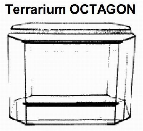 Achteckiges Terrarium ca.192 Liter Octagon  80x50x60